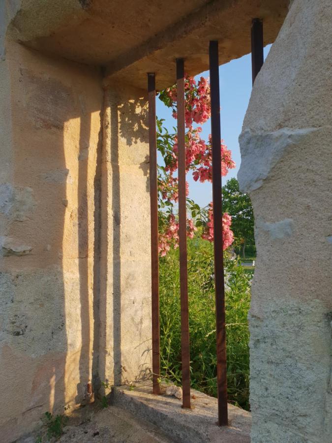 Bed and Breakfast Chateau Canteloup à Saint-Caprais-de-Bordeaux Extérieur photo