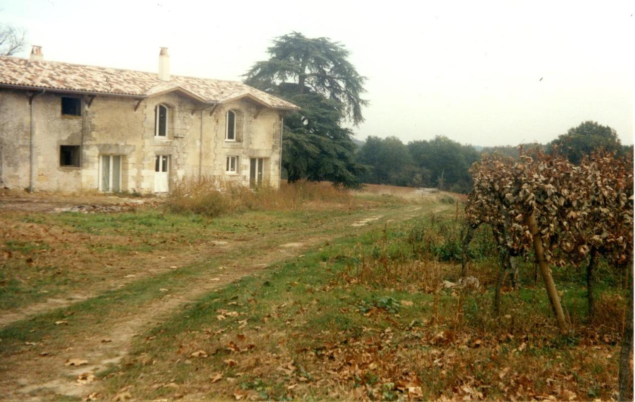 Bed and Breakfast Chateau Canteloup à Saint-Caprais-de-Bordeaux Extérieur photo