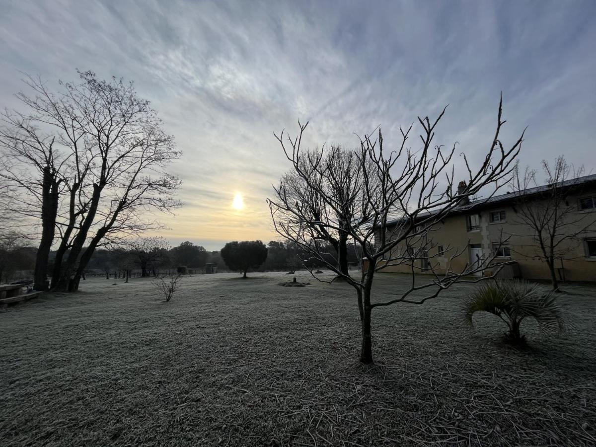 Bed and Breakfast Chateau Canteloup à Saint-Caprais-de-Bordeaux Extérieur photo